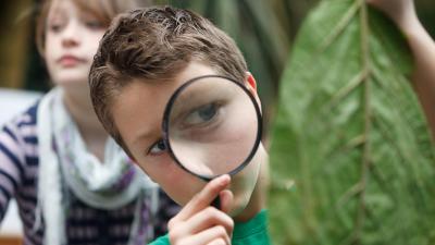 Boy examining a leaf with a magnifying glass